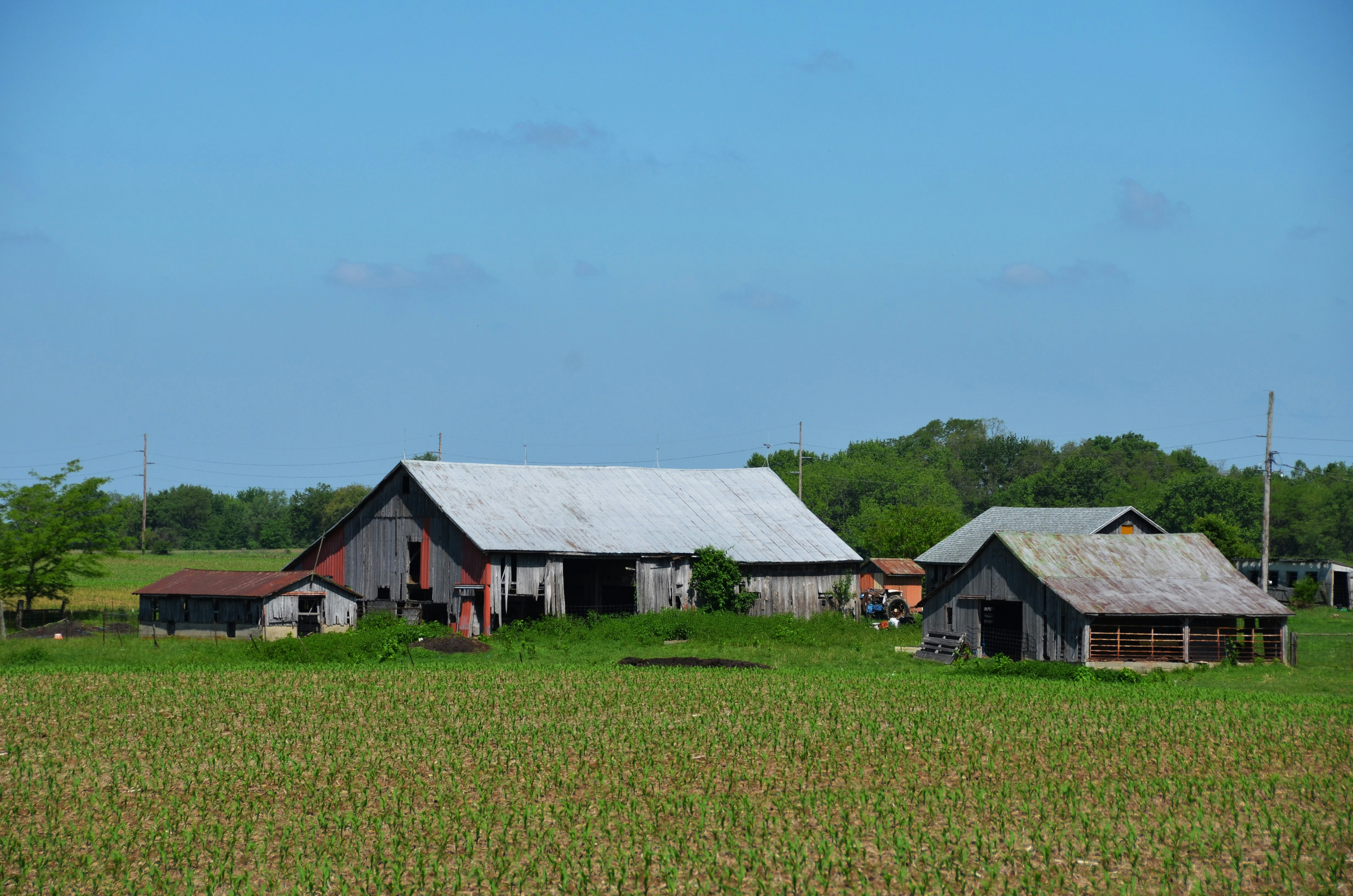 Farm, Rest House and Agribiz Image